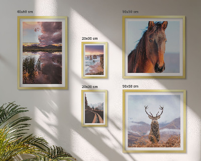 Galeria obrazów na ścianę Naturalne piękno krajobrazów