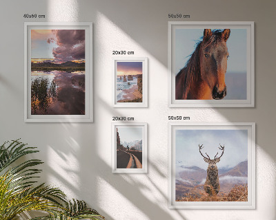 Galeria obrazów na ścianę Naturalne piękno krajobrazów