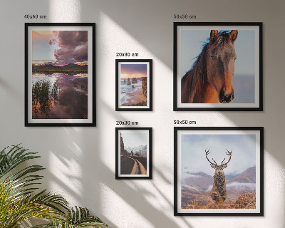 Galeria obrazów na ścianę Naturalne piękno krajobrazów