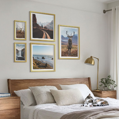 Galeria obrazów na ścianę Przyroda dzikie zwierzęta krajobrazy