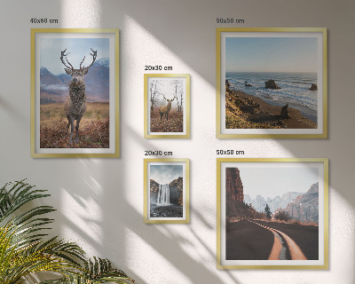 Galeria obrazów na ścianę Przyroda dzikie zwierzęta krajobrazy