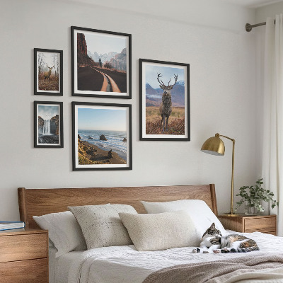 Galeria obrazów na ścianę Przyroda dzikie zwierzęta krajobrazy