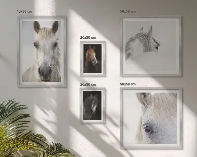 Zestaw obrazów dekoracja ścienna portrety koni w stylach artystycznych