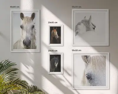 Zestaw obrazów dekoracja ścienna portrety koni w stylach artystycznych