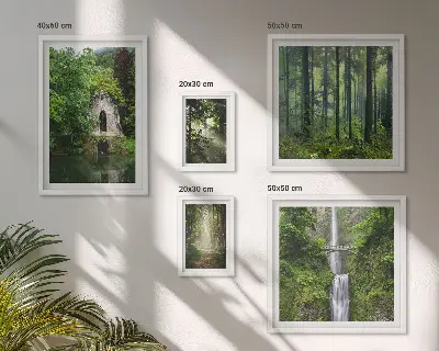 Galeria obrazów na ścianę z motywem zielonych lasów i wodospadów