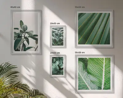 Galeria obrazów na ścianę Roślinne inspiracje tropikalne
