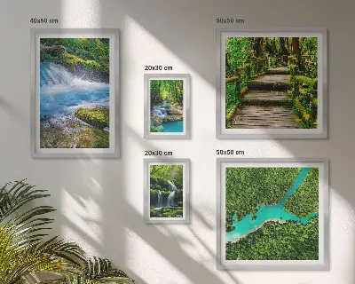 Galeria obrazów na ścianę Zielone oazy spokoju w lesie