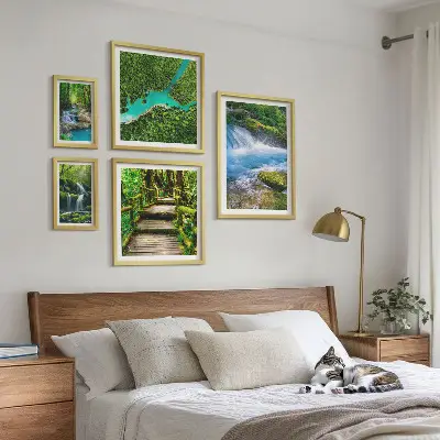 Galeria obrazów na ścianę Zielone oazy spokoju w lesie