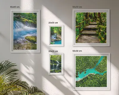 Galeria obrazów na ścianę Zielone oazy spokoju w lesie