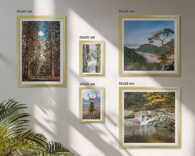 Zestaw obrazów w ramie do galerii ściennej Pejzaże górskie i dzika natura