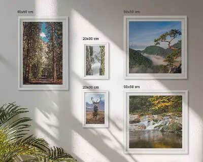 Zestaw obrazów w ramie do galerii ściennej Pejzaże górskie i dzika natura
