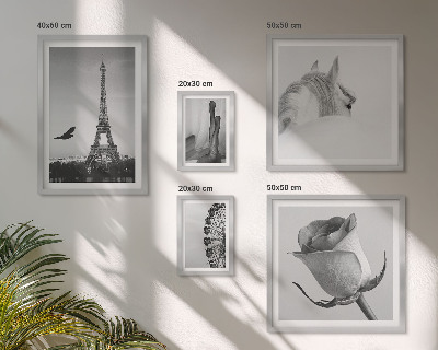 Galeria obrazów na ścianę Stylowe czarno-białe obrazy