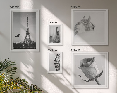 Galeria obrazów na ścianę Stylowe czarno-białe obrazy