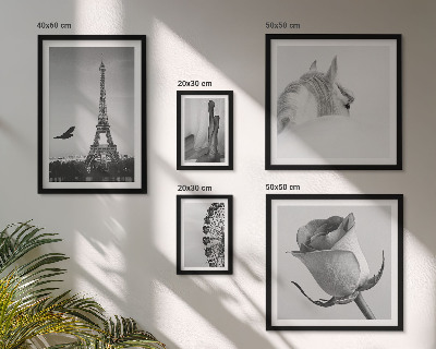 Galeria obrazów na ścianę Stylowe czarno-białe obrazy