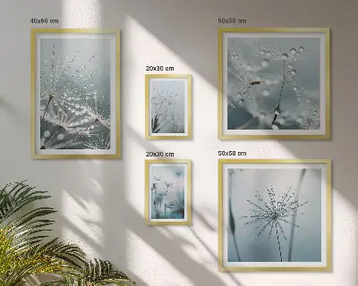 Galeria obrazów na ścianę Krople wody na roślinach