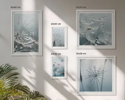 Galeria obrazów na ścianę Krople wody na roślinach