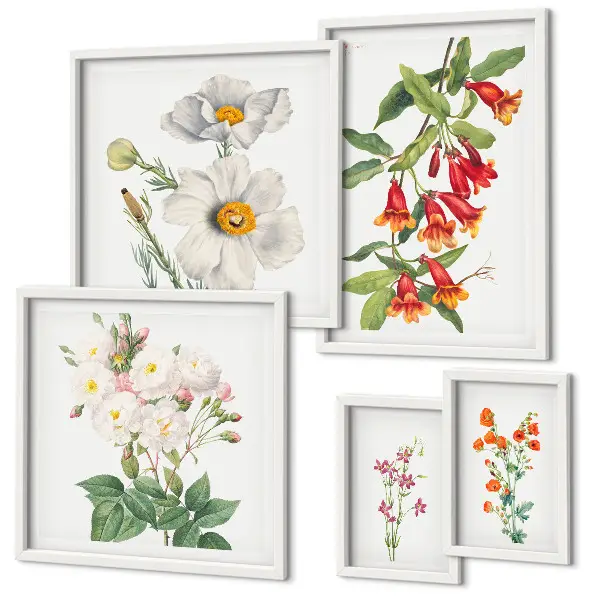 Dekoracja ścienna zestaw obrazów Kwiatowe ilustracje botaniczne