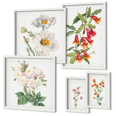 Dekoracja ścienna zestaw obrazów Kwiatowe ilustracje botaniczne