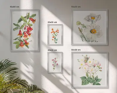 Dekoracja ścienna zestaw obrazów Kwiatowe ilustracje botaniczne
