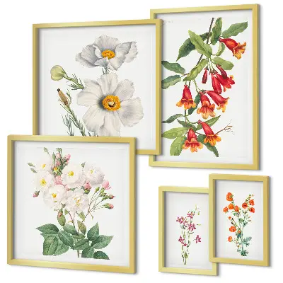 Dekoracja ścienna zestaw obrazów Kwiatowe ilustracje botaniczne