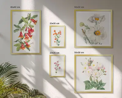 Dekoracja ścienna zestaw obrazów Kwiatowe ilustracje botaniczne
