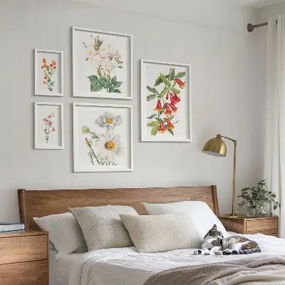 Dekoracja ścienna zestaw obrazów Kwiatowe ilustracje botaniczne