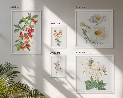 Dekoracja ścienna zestaw obrazów Kwiatowe ilustracje botaniczne