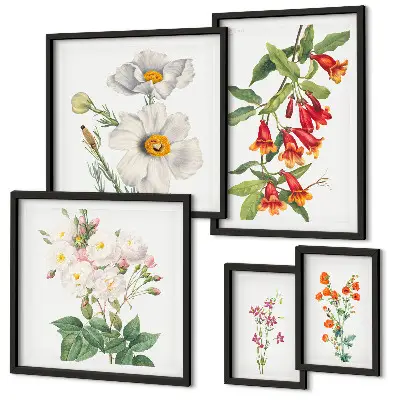 Dekoracja ścienna zestaw obrazów Kwiatowe ilustracje botaniczne