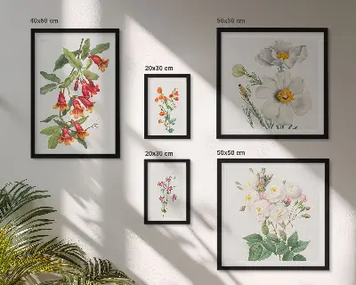 Dekoracja ścienna zestaw obrazów Kwiatowe ilustracje botaniczne