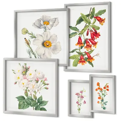 Dekoracja ścienna zestaw obrazów Kwiatowe ilustracje botaniczne
