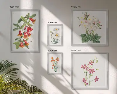 Zestaw obrazów w ramie do galerii ściennej z kwiatowymi motywami botanicznymi