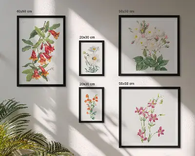 Zestaw obrazów w ramie do galerii ściennej z kwiatowymi motywami botanicznymi