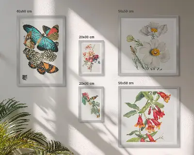 Zestaw 5 obrazów w ramie z motywem kwiatów, motyli i ptaków w stylu vintage
