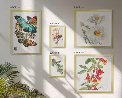Zestaw 5 obrazów w ramie z motywem kwiatów, motyli i ptaków w stylu vintage