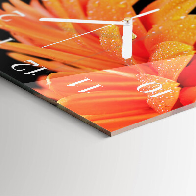 Zegar szklany kwadratowy Gerbera