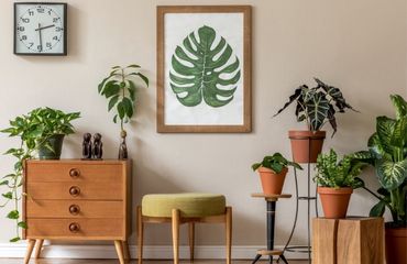 Jak udekorować swój dom w stylu miejskiej dżungli? Urban jungle bez tajemnic