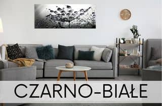 obrazy czarno białe