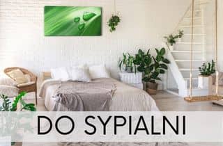 obrazy do sypialni