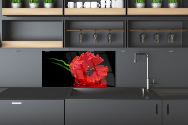 Biały czy czarny panel kuchenny - jaki wybrać?