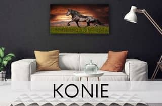 obrazy z końmi