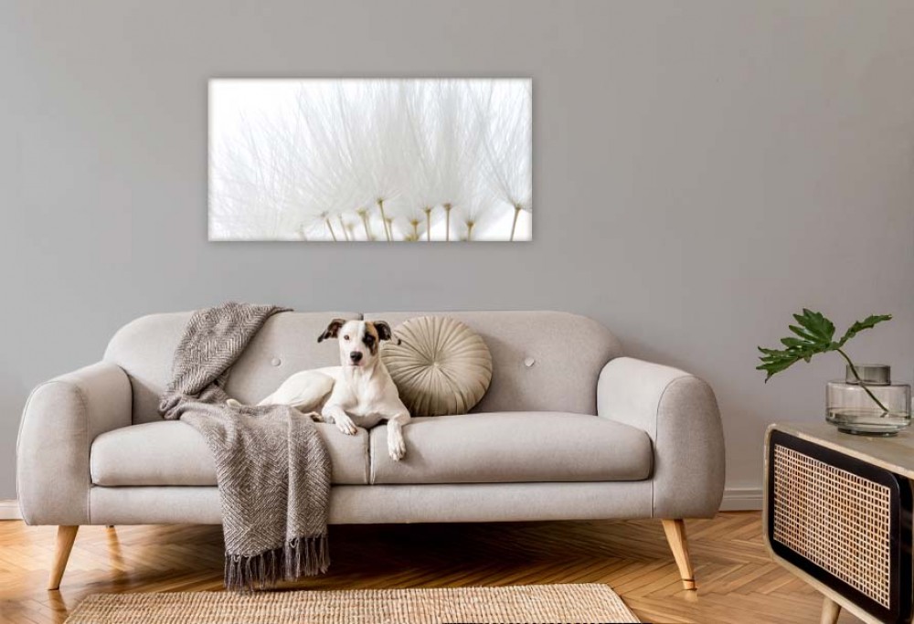 kolor roku 2026 wnętrza